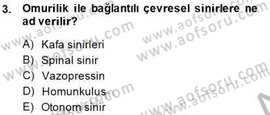 Psikolojiye Giriş Dersi 2014 - 2015 Yılı (Final) Dönem Sonu Sınav Soruları 3. Soru