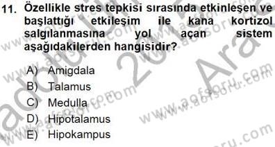 Psikolojiye Giriş Dersi 2015 - 2016 Yılı (Vize) Ara Sınav Soruları 11. Soru