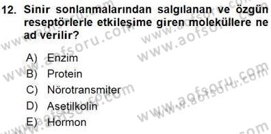Psikolojiye Giriş Dersi 2015 - 2016 Yılı (Vize) Ara Sınav Soruları 12. Soru