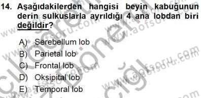 Psikolojiye Giriş Dersi 2015 - 2016 Yılı (Vize) Ara Sınav Soruları 14. Soru