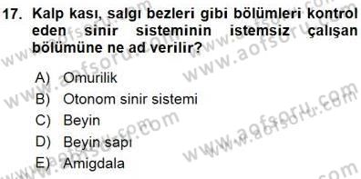 Psikolojiye Giriş Dersi 2015 - 2016 Yılı (Vize) Ara Sınav Soruları 17. Soru