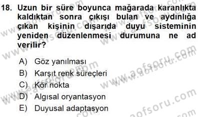 Psikolojiye Giriş Dersi 2015 - 2016 Yılı (Vize) Ara Sınav Soruları 18. Soru