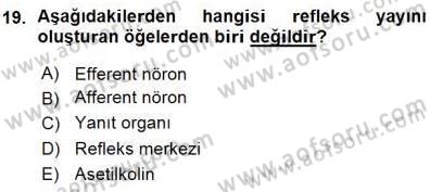 Psikolojiye Giriş Dersi 2015 - 2016 Yılı (Vize) Ara Sınav Soruları 19. Soru