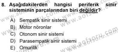 Psikolojiye Giriş Dersi 2015 - 2016 Yılı (Final) Dönem Sonu Sınav Soruları 8. Soru