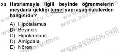 Eğitim Psikolojisi Dersi 2014 - 2015 Yılı (Final) Dönem Sonu Sınav Soruları 20. Soru