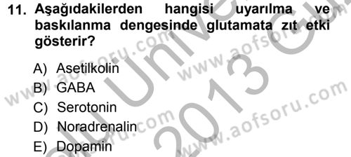 Psikoloji Dersi 2012 - 2013 Yılı (Vize) Ara Sınav Soruları 11. Soru