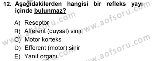 Psikoloji Dersi 2012 - 2013 Yılı (Vize) Ara Sınav Soruları 12. Soru