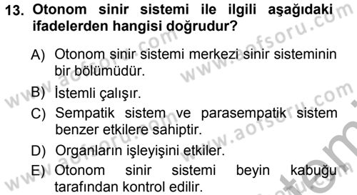 Psikoloji Dersi 2012 - 2013 Yılı (Vize) Ara Sınav Soruları 13. Soru