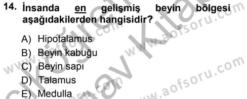 Psikoloji Dersi 2012 - 2013 Yılı (Vize) Ara Sınav Soruları 14. Soru