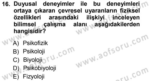 Psikoloji Dersi 2012 - 2013 Yılı (Vize) Ara Sınav Soruları 16. Soru