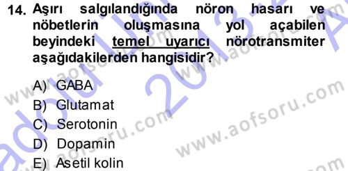 Psikoloji Dersi 2013 - 2014 Yılı (Vize) Ara Sınav Soruları 14. Soru