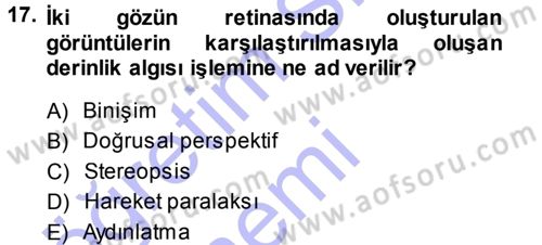 Psikoloji Dersi 2013 - 2014 Yılı (Vize) Ara Sınav Soruları 17. Soru