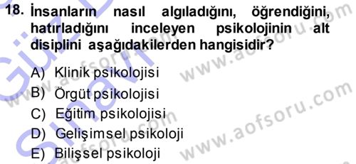 Psikoloji Dersi 2013 - 2014 Yılı (Vize) Ara Sınav Soruları 18. Soru