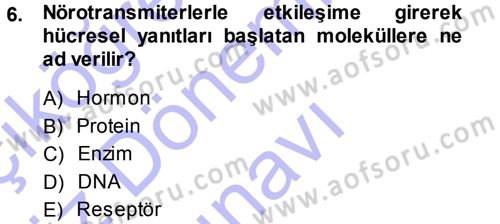 Psikoloji Dersi 2013 - 2014 Yılı (Final) Dönem Sonu Sınav Soruları 6. Soru