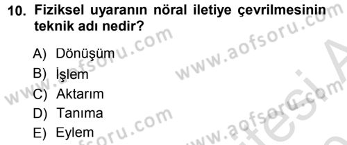Psikoloji Dersi 2013 - 2014 Yılı Tek Ders Sınav Soruları 10. Soru