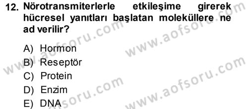 Psikoloji Dersi 2014 - 2015 Yılı (Vize) Ara Sınav Soruları 12. Soru