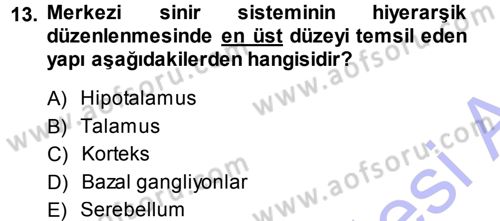 Psikoloji Dersi 2014 - 2015 Yılı (Vize) Ara Sınav Soruları 13. Soru