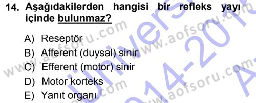 Psikoloji Dersi 2014 - 2015 Yılı (Vize) Ara Sınav Soruları 14. Soru