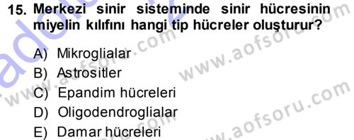 Psikoloji Dersi 2014 - 2015 Yılı (Vize) Ara Sınav Soruları 15. Soru