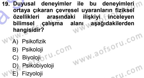 Psikoloji Dersi 2014 - 2015 Yılı (Vize) Ara Sınav Soruları 19. Soru