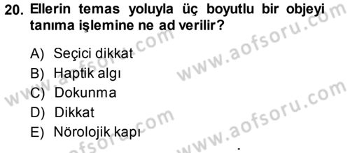 Psikoloji Dersi 2014 - 2015 Yılı (Vize) Ara Sınav Soruları 20. Soru