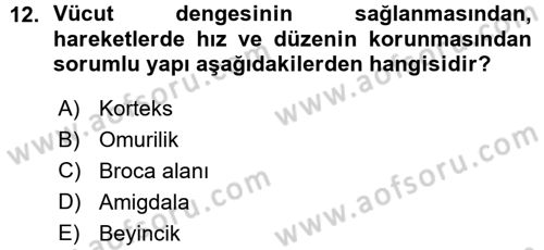 Psikoloji Dersi 2015 - 2016 Yılı (Vize) Ara Sınav Soruları 12. Soru