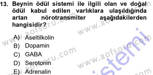 Psikoloji Dersi 2015 - 2016 Yılı (Vize) Ara Sınav Soruları 13. Soru