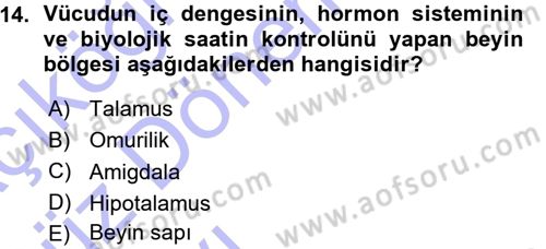 Psikoloji Dersi 2015 - 2016 Yılı (Vize) Ara Sınav Soruları 14. Soru
