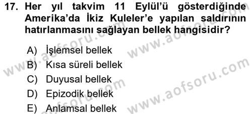 Psikoloji Dersi 2015 - 2016 Yılı (Vize) Ara Sınav Soruları 17. Soru