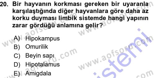 Psikoloji Dersi 2015 - 2016 Yılı (Vize) Ara Sınav Soruları 20. Soru