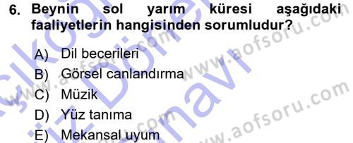 Psikoloji Dersi 2015 - 2016 Yılı (Final) Dönem Sonu Sınav Soruları 6. Soru