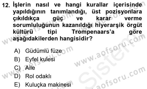 Psikoloji Dersi 2015 - 2016 Yılı Tek Ders Sınav Soruları 12. Soru