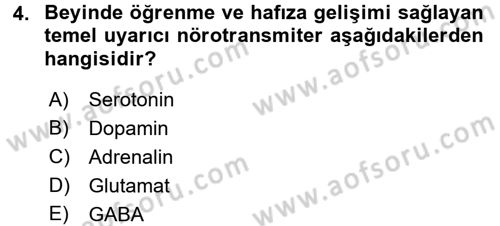 Psikoloji Dersi 2015 - 2016 Yılı Tek Ders Sınav Soruları 4. Soru