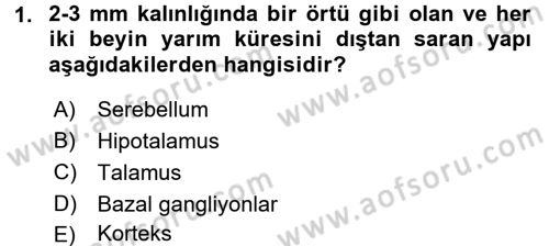 Psikoloji Dersi 2016 - 2017 Yılı 3 Ders Sınav Soruları 1. Soru