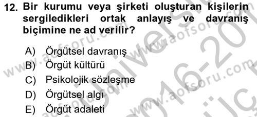 Psikoloji Dersi 2016 - 2017 Yılı 3 Ders Sınav Soruları 12. Soru