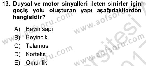 Psikoloji Dersi 2016 - 2017 Yılı (Vize) Ara Sınav Soruları 13. Soru