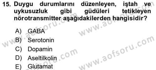 Psikoloji Dersi 2016 - 2017 Yılı (Vize) Ara Sınav Soruları 15. Soru