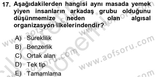 Psikoloji Dersi 2016 - 2017 Yılı (Vize) Ara Sınav Soruları 17. Soru