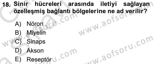 Psikoloji Dersi 2016 - 2017 Yılı (Vize) Ara Sınav Soruları 18. Soru