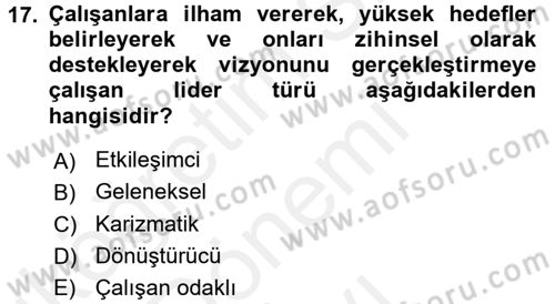 Psikoloji Dersi 2016 - 2017 Yılı (Final) Dönem Sonu Sınav Soruları 17. Soru