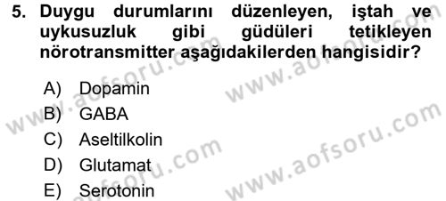 Psikoloji Dersi 2016 - 2017 Yılı (Final) Dönem Sonu Sınav Soruları 5. Soru