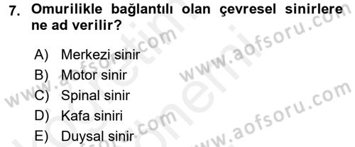 Psikoloji Dersi 2016 - 2017 Yılı (Final) Dönem Sonu Sınav Soruları 7. Soru