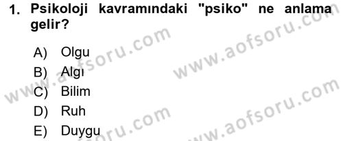 Psikoloji Dersi 2017 - 2018 Yılı (Vize) Ara Sınav Soruları 1. Soru