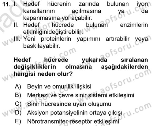 Psikoloji Dersi 2017 - 2018 Yılı (Vize) Ara Sınav Soruları 11. Soru