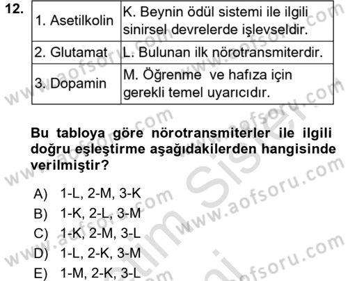Psikoloji Dersi 2017 - 2018 Yılı (Vize) Ara Sınav Soruları 12. Soru