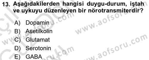 Psikoloji Dersi 2017 - 2018 Yılı (Vize) Ara Sınav Soruları 13. Soru