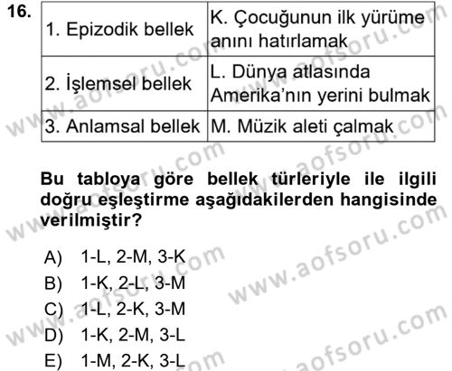 Psikoloji Dersi 2017 - 2018 Yılı (Vize) Ara Sınav Soruları 16. Soru