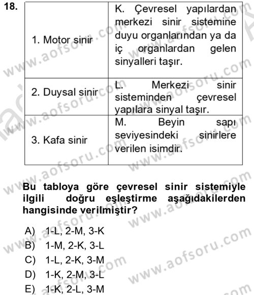 Psikoloji Dersi 2017 - 2018 Yılı (Vize) Ara Sınav Soruları 18. Soru