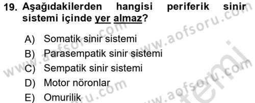 Psikoloji Dersi 2017 - 2018 Yılı (Vize) Ara Sınav Soruları 19. Soru