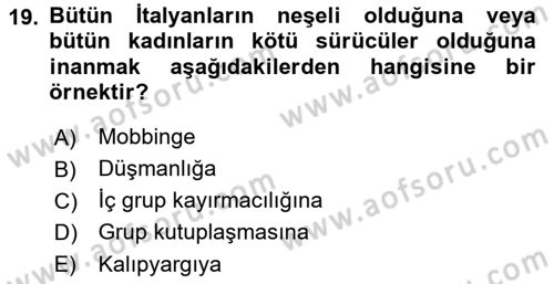 Psikoloji Dersi 2018 - 2019 Yılı 3 Ders Sınav Soruları 19. Soru